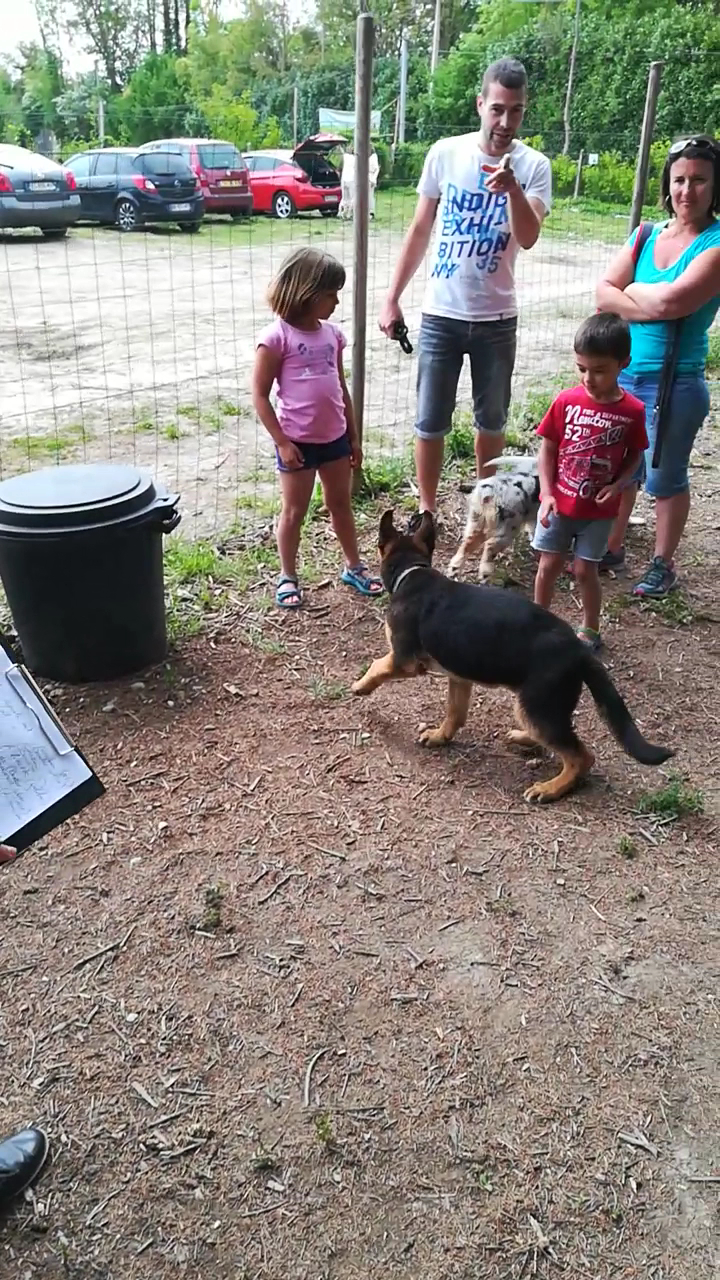L'isle Aux Chiens - Pension canine & éducation (Isère) — photo