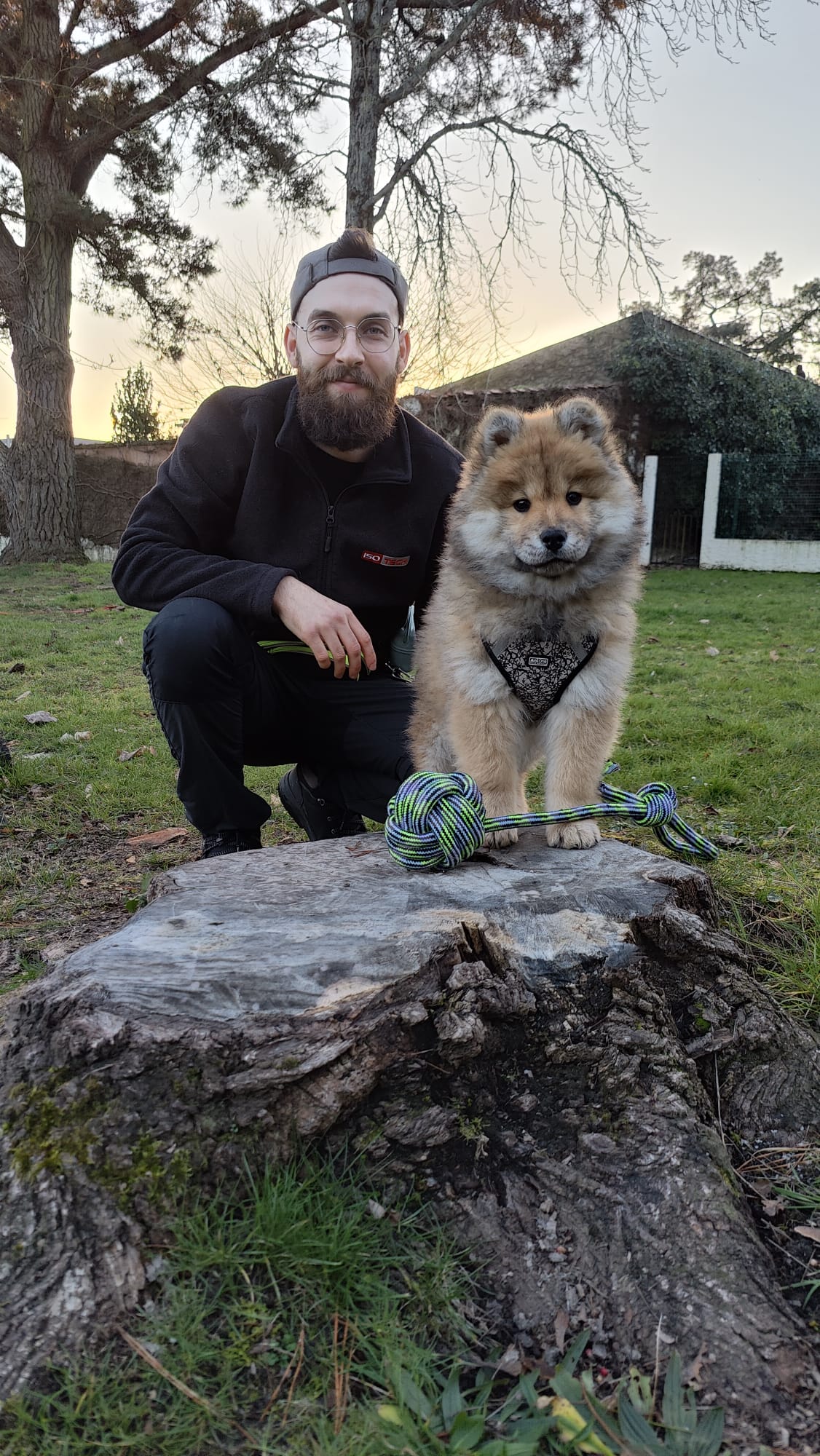 umami chiens et chats — photo