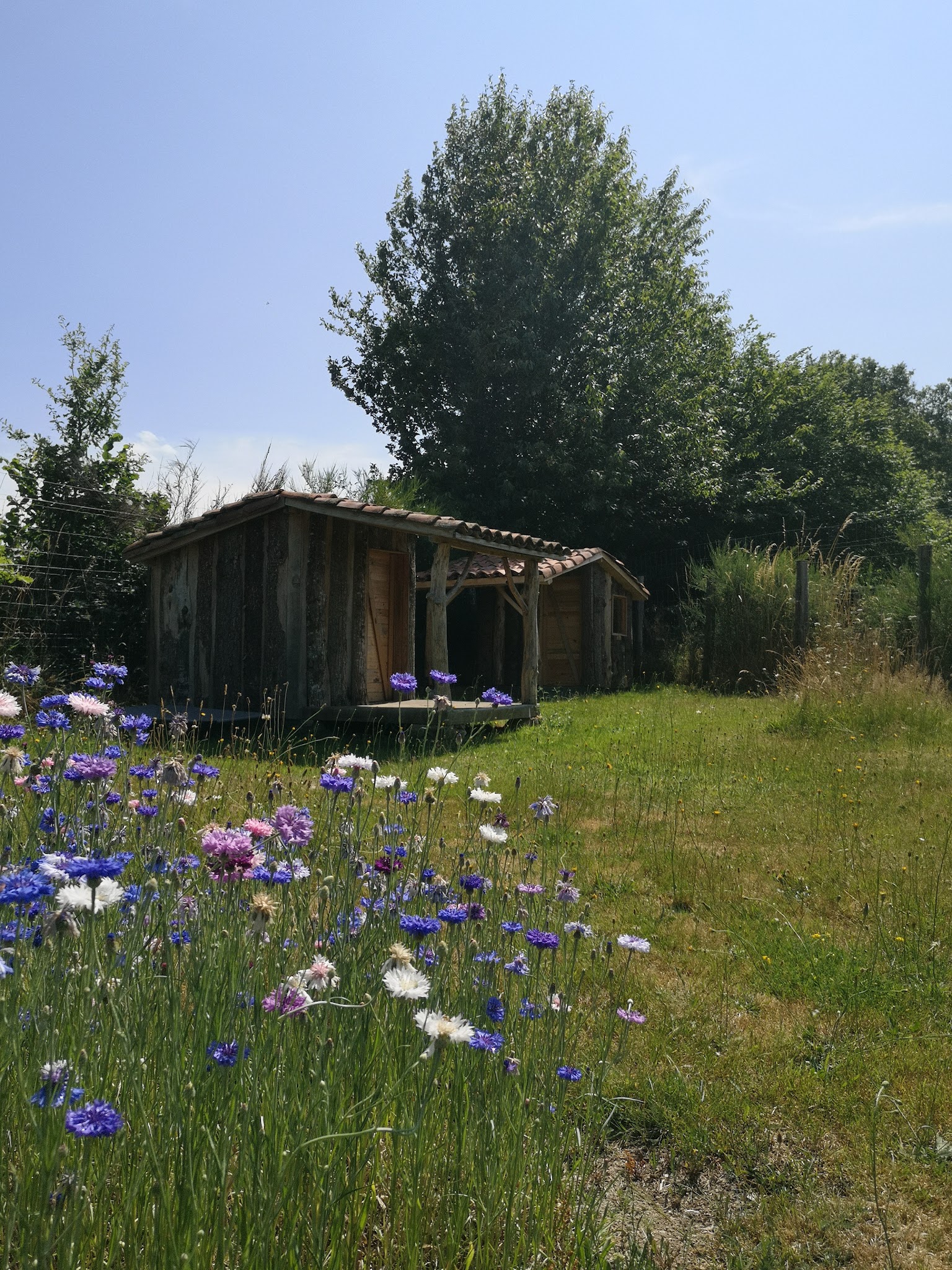 Be Wouf pension — photo