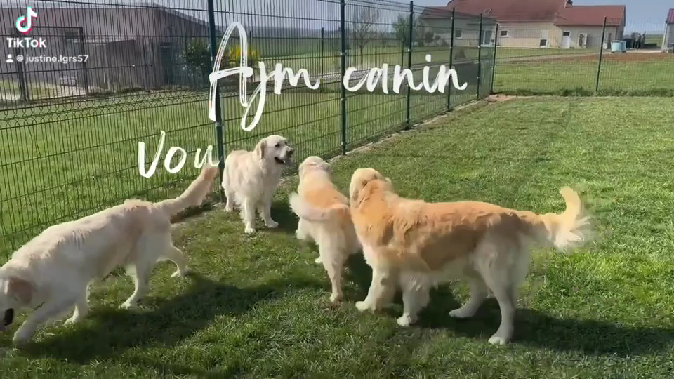 AJM Canin — photo