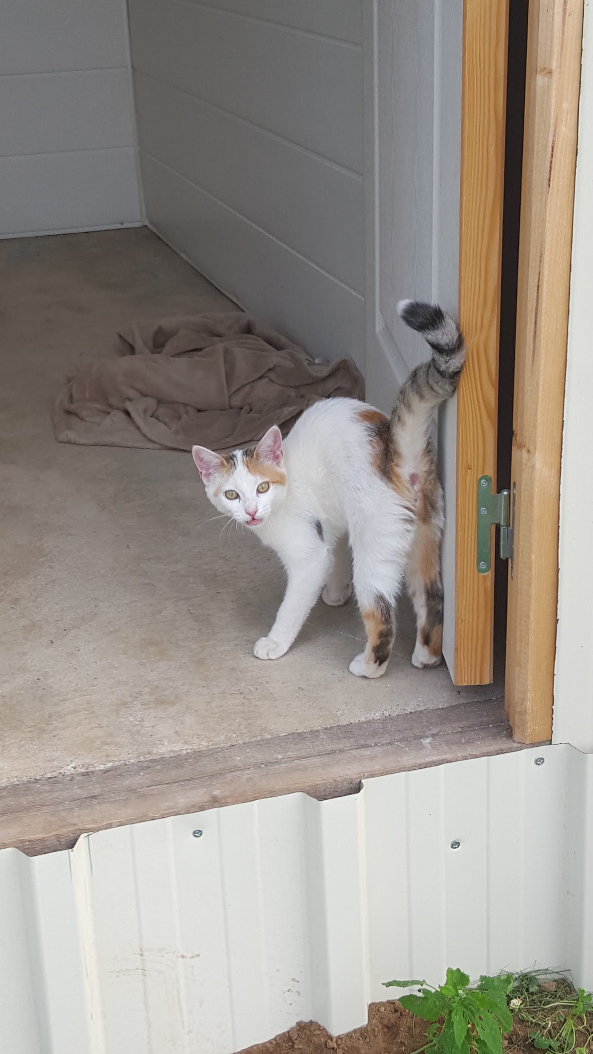 SARL Maison 4 Pet's — photo