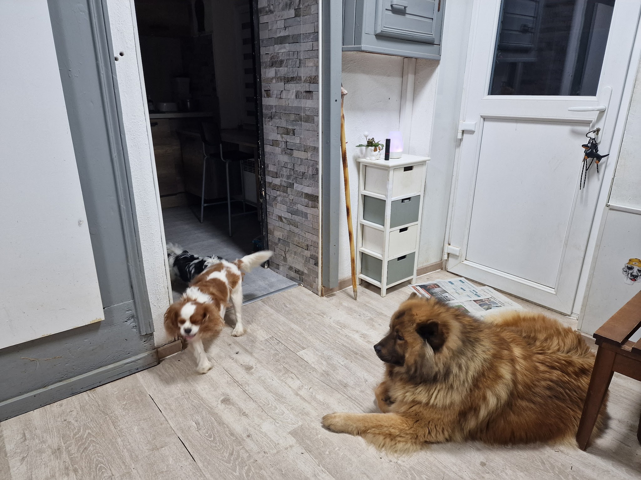 Chez Sardine à l'huile — photo