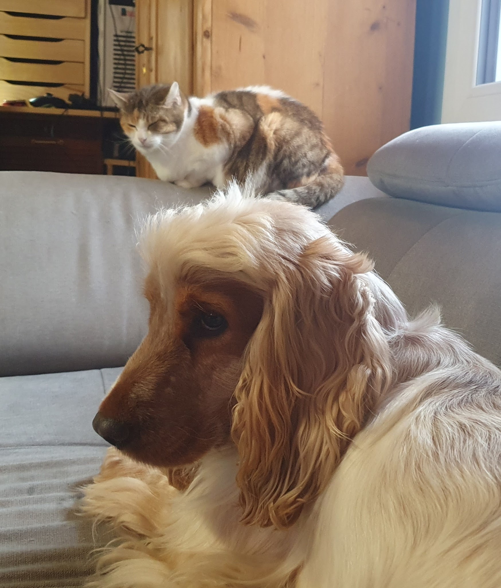 Chez Sardine à l'huile — photo