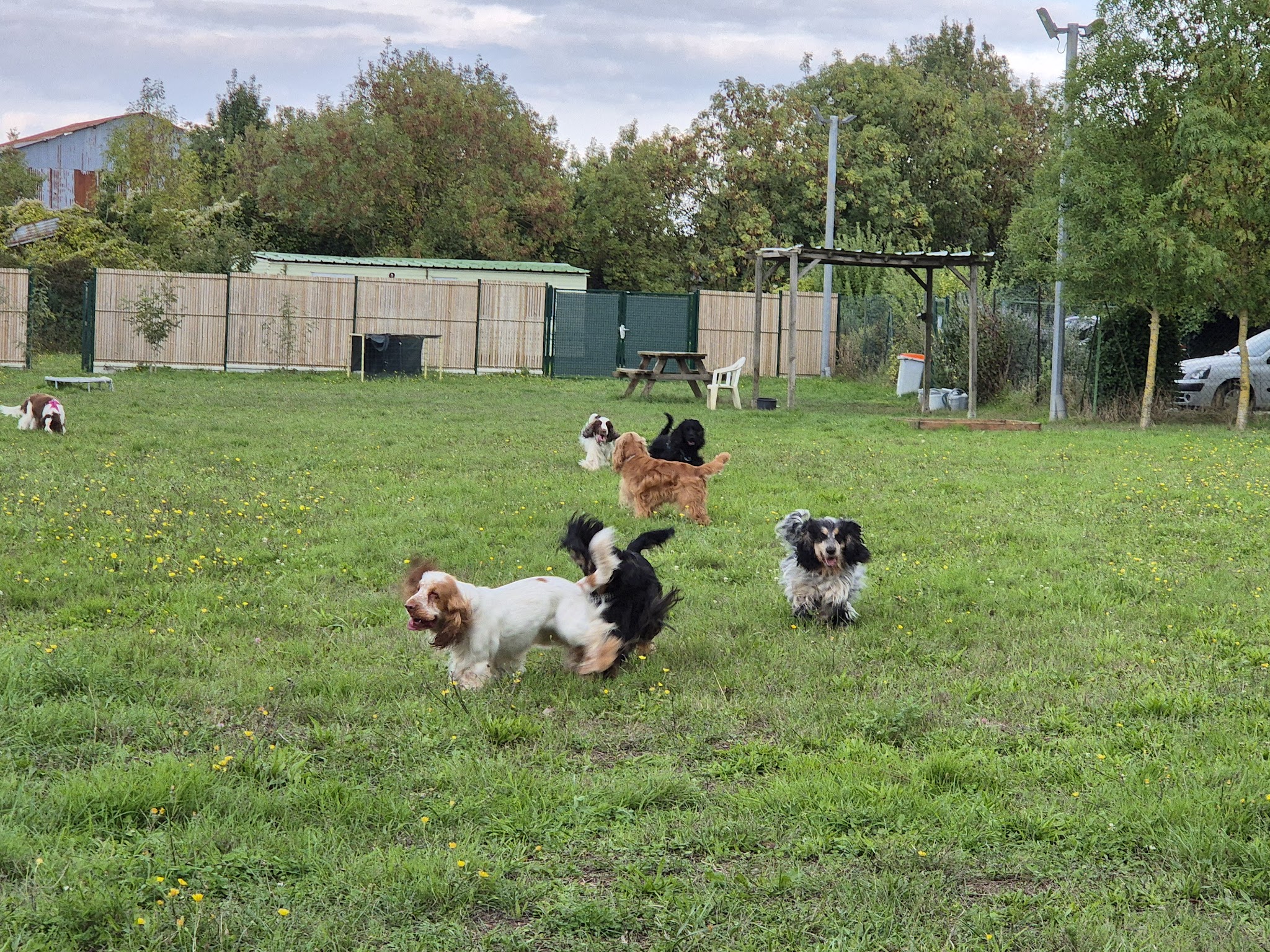 Domaine de Château Milan - Pension chiens & chats La Rochelle — photo