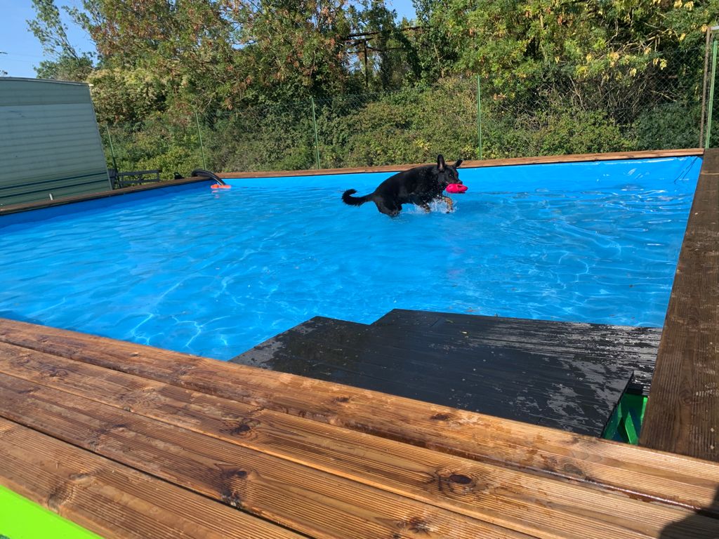 Domaine de Château Milan - Pension chiens & chats La Rochelle — photo
