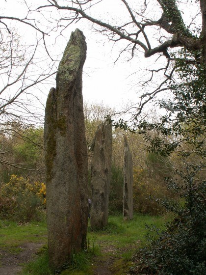 Pension canine et féline domaine des 3 menhirs
