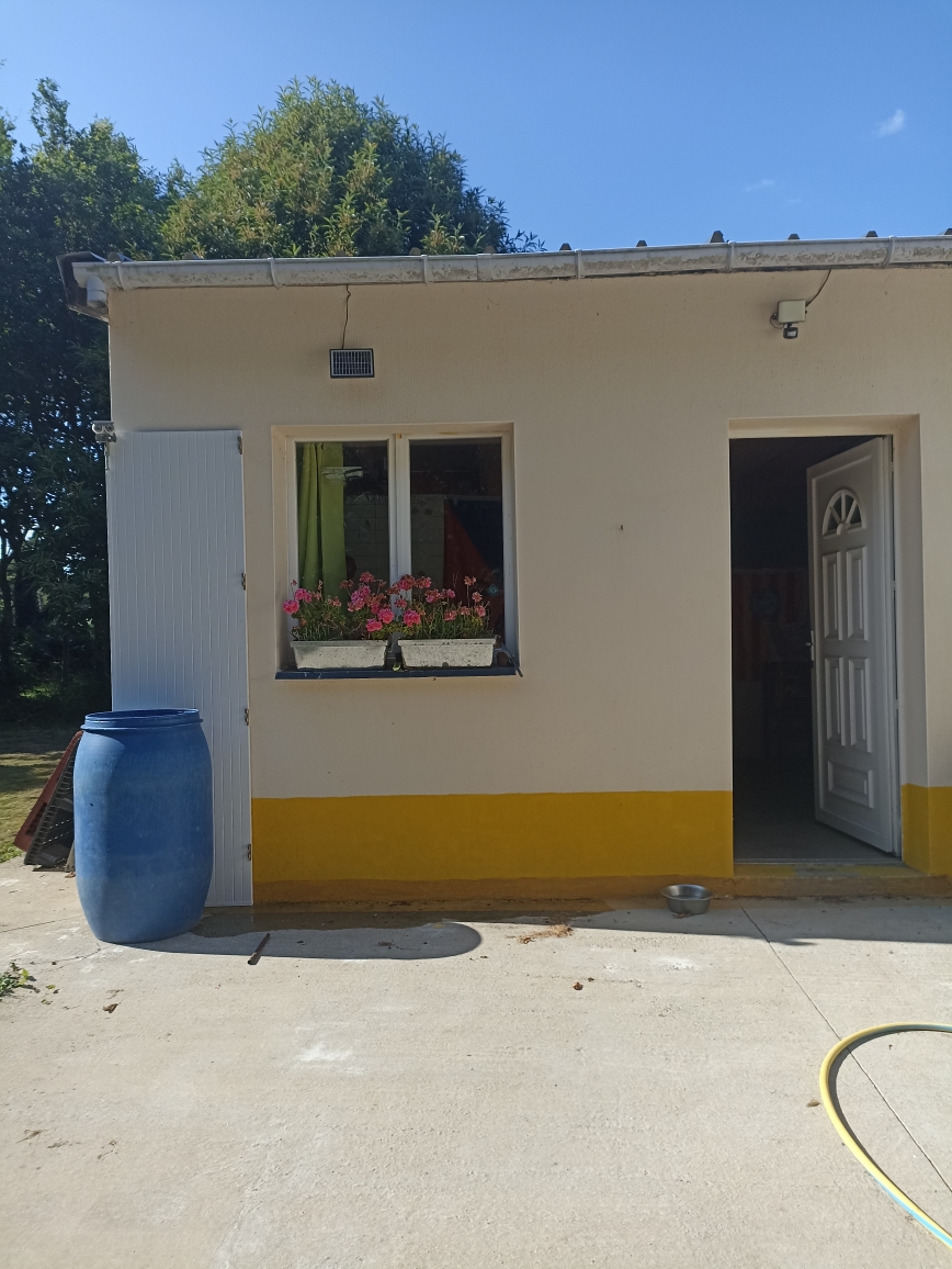 Pension canine et féline domaine des 3 menhirs — photo