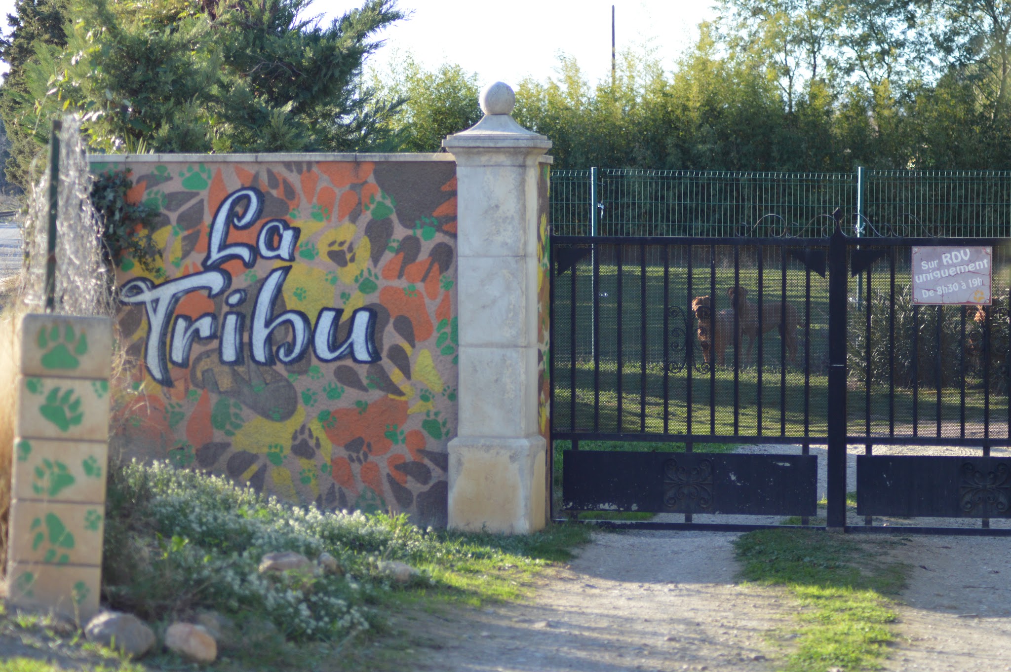 Pension la Tribu — photo