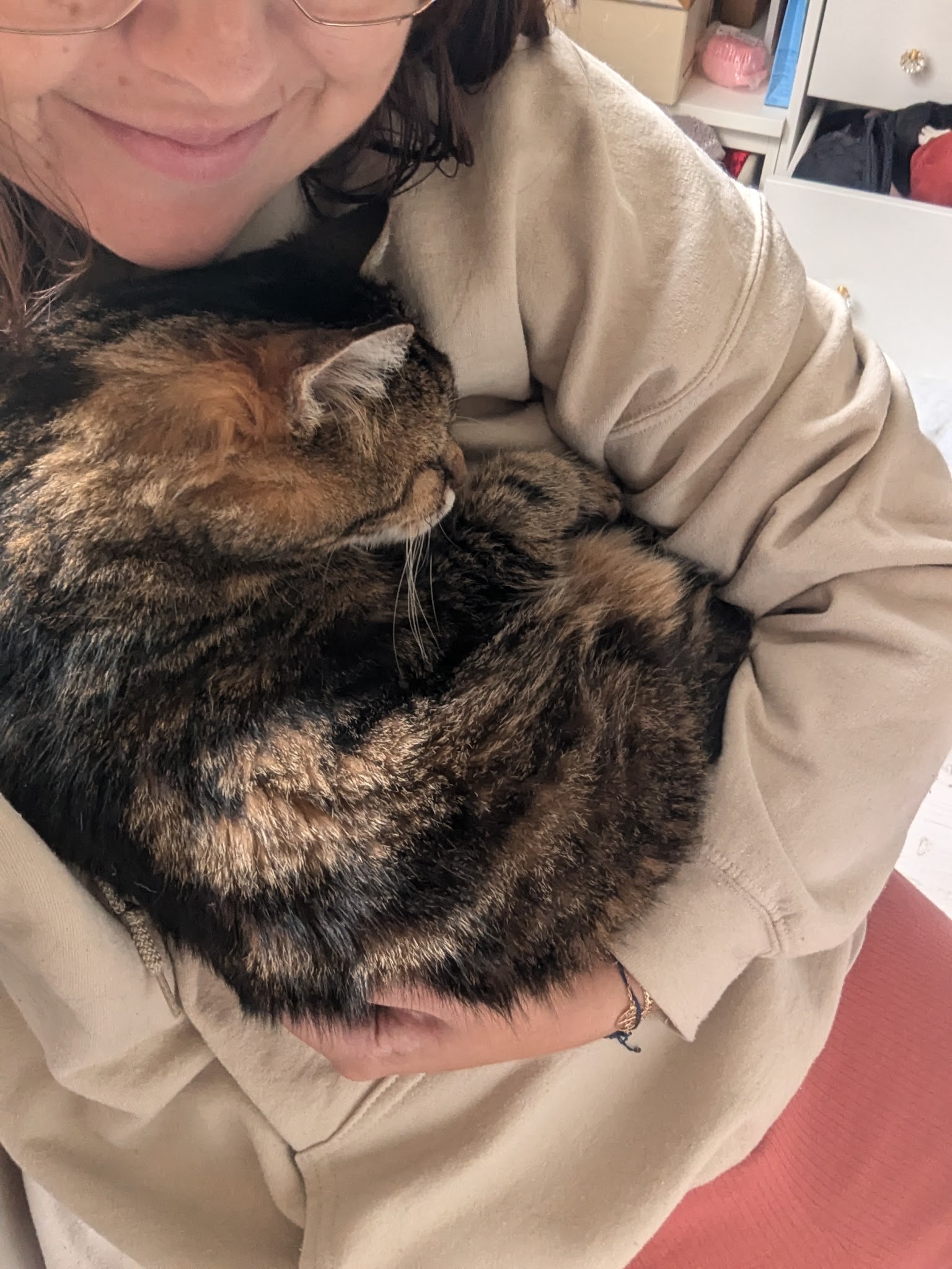 Les p'tites patounes Pet-Sitter
