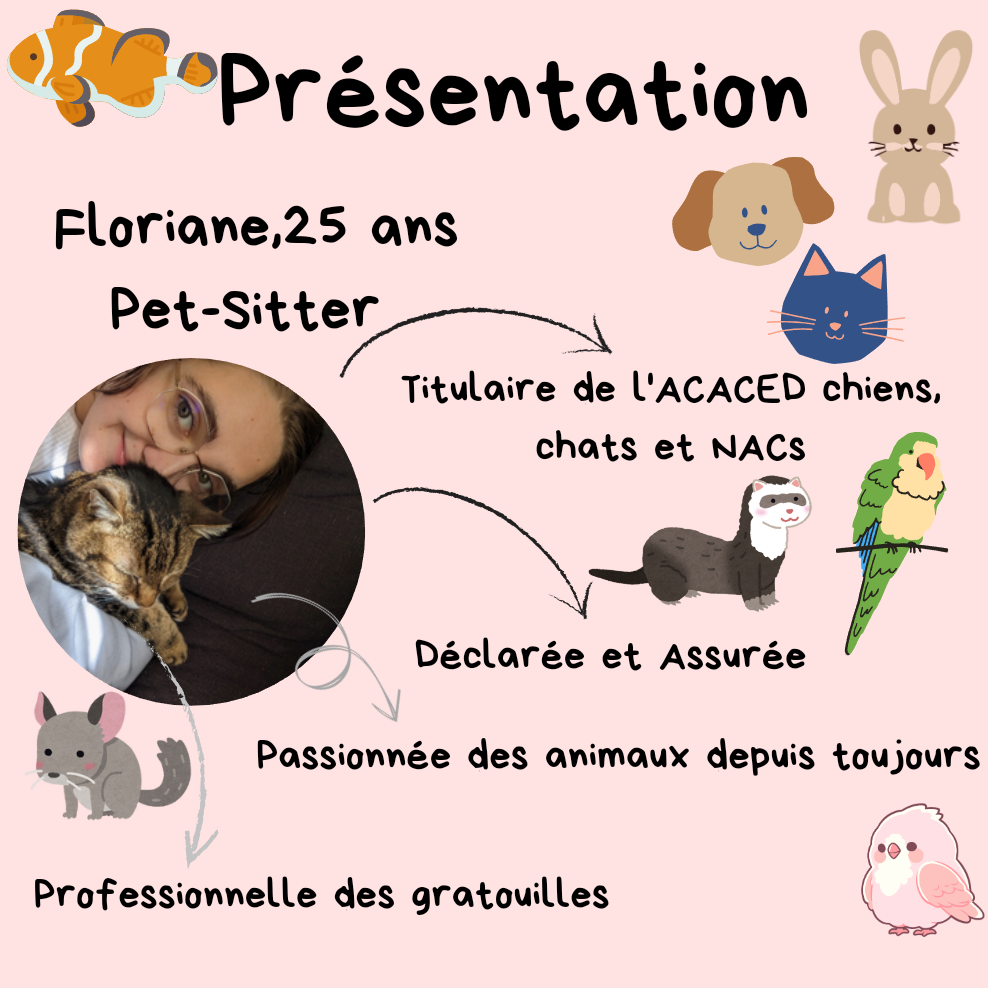 Les p'tites patounes Pet-Sitter — photo