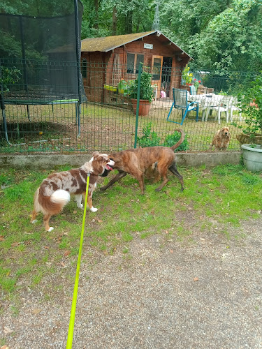 L'auberge du chien