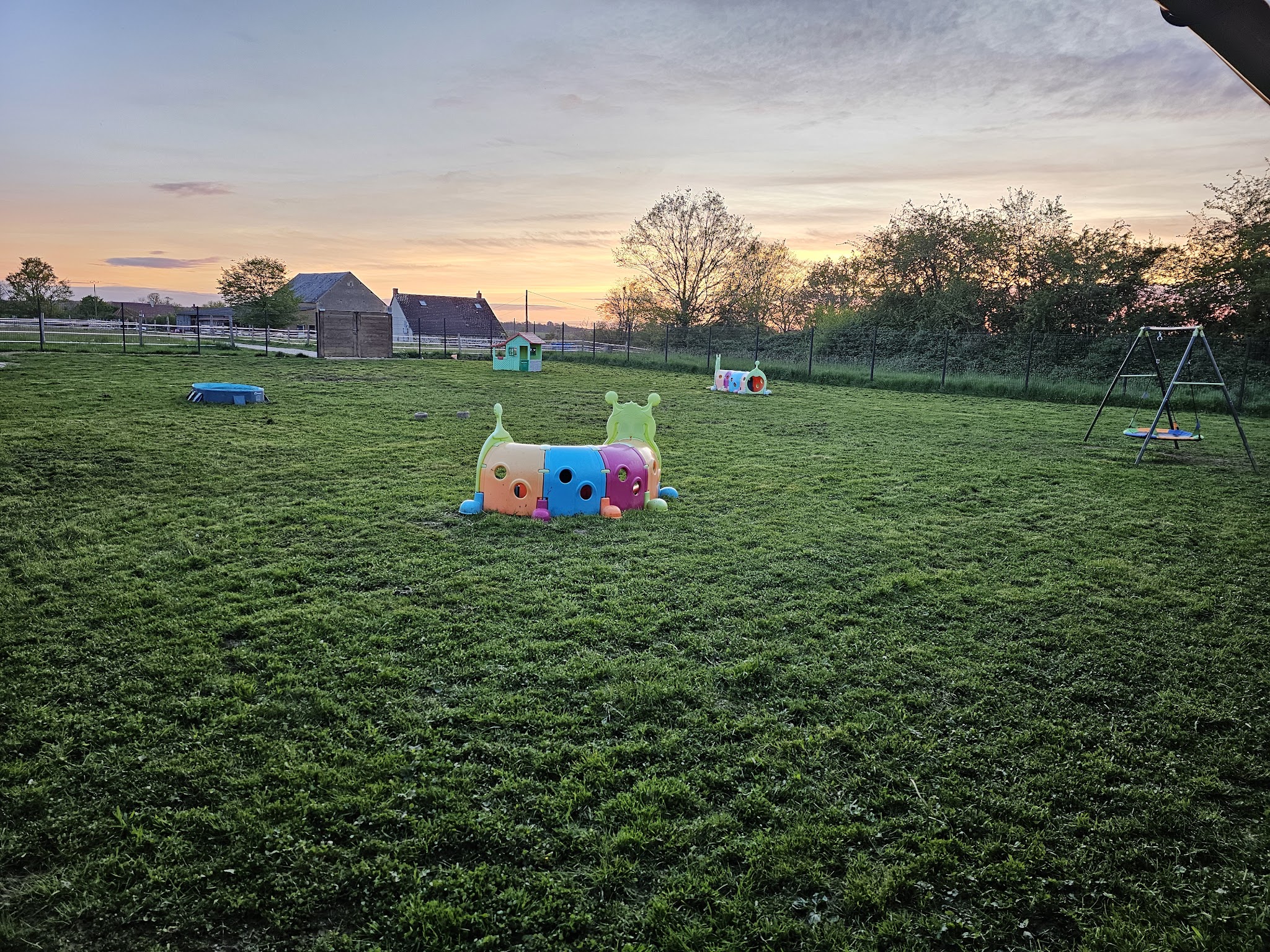 Les 1001 Pattes de Sïana - Pension pour chiens, chats et NAC — photo
