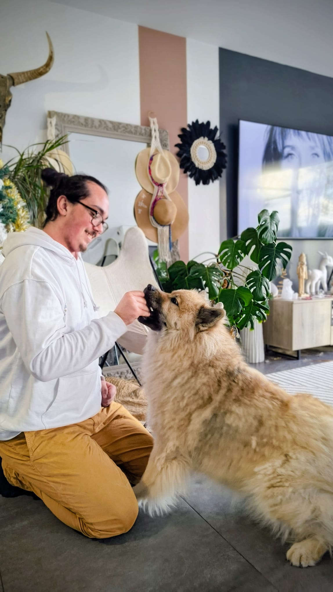 Gaëtan Service Animalier - Pet Sitter — photo