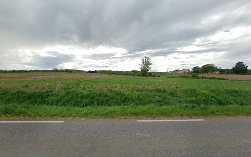 Le Gîte des 4 Pattes