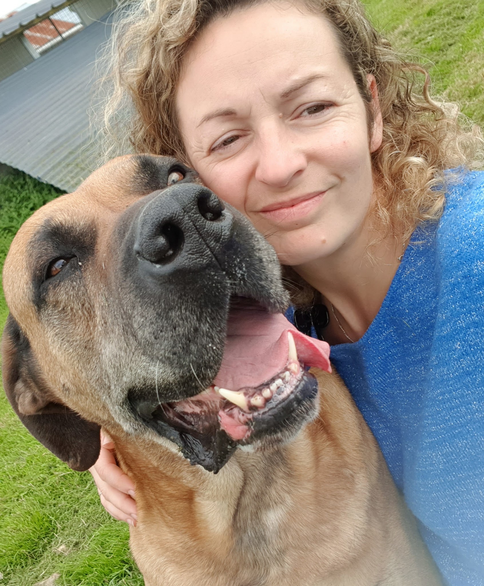 Pension Canine Du Robinard — photo
