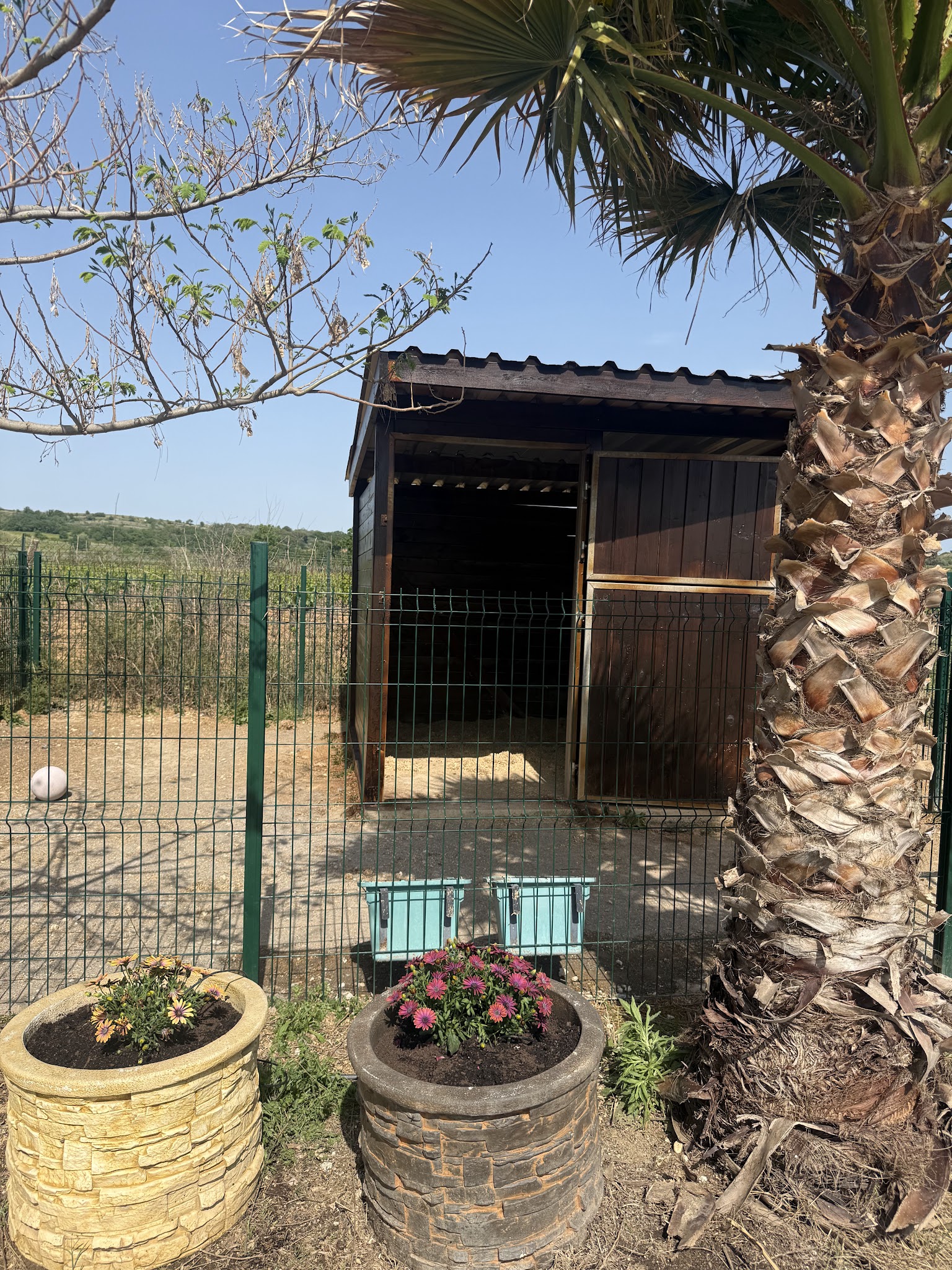 Pension Canine Le Mas Toutou — photo