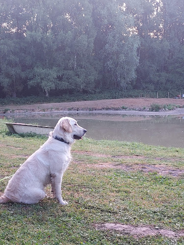 Petsitter Animaux love
