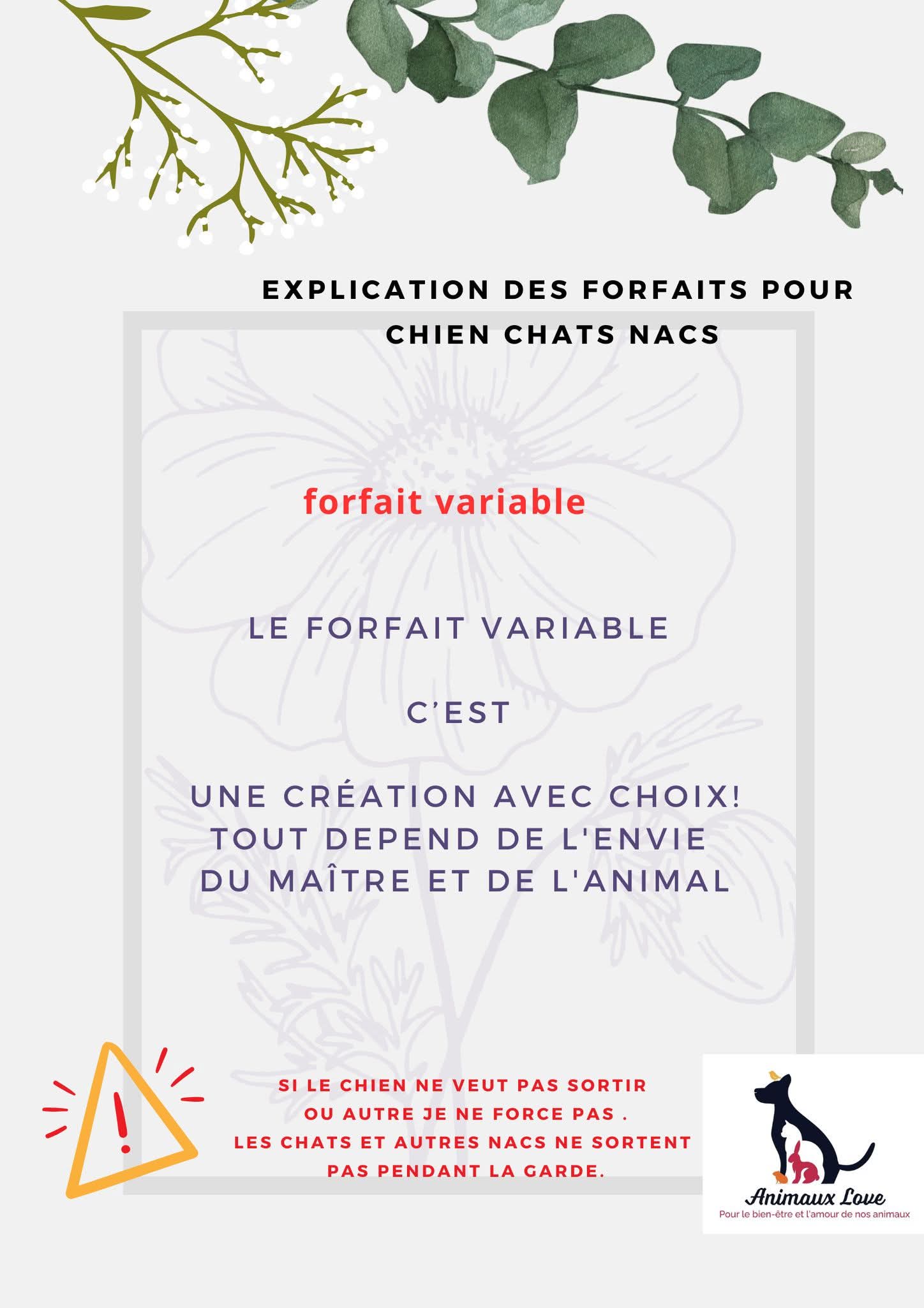 Petsitter Animaux love — photo