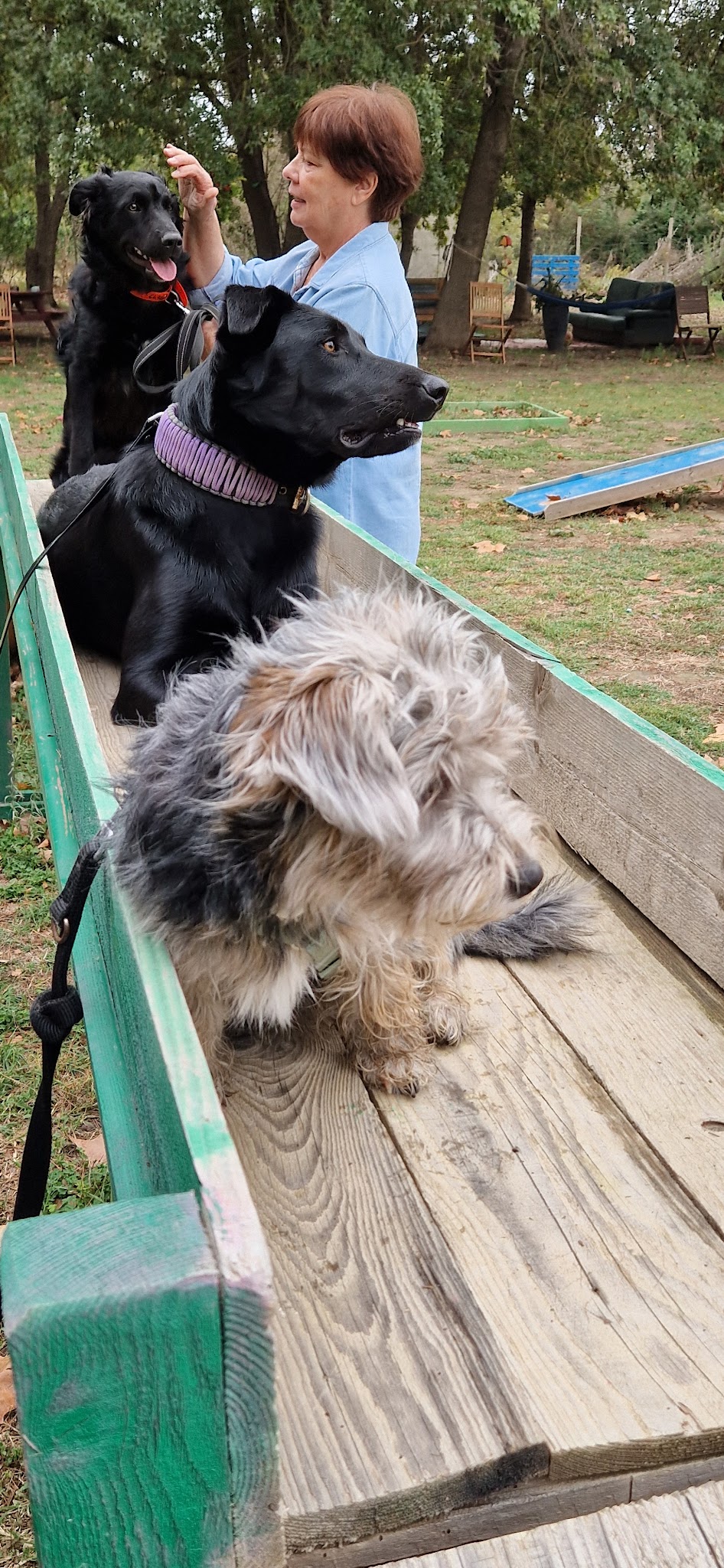 La Caninerie — photo