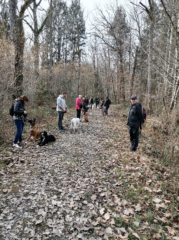 Pat’ à Chiens – Pension canine professionnelle en Haute-Savoie — photo