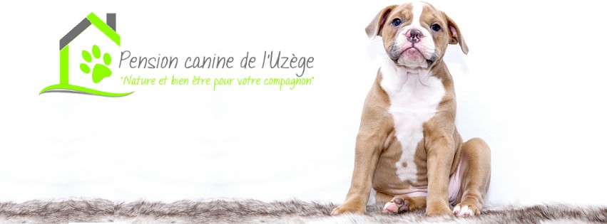 Pension canine de l’uzège