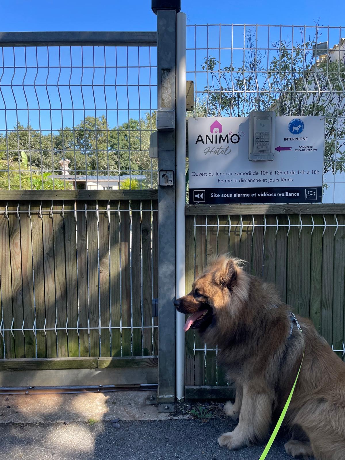 Animo Hôtel — photo