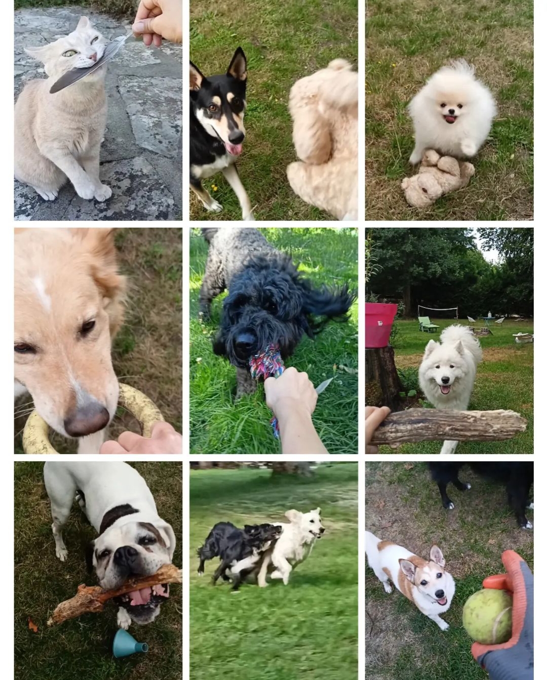 Mélie et compagnie