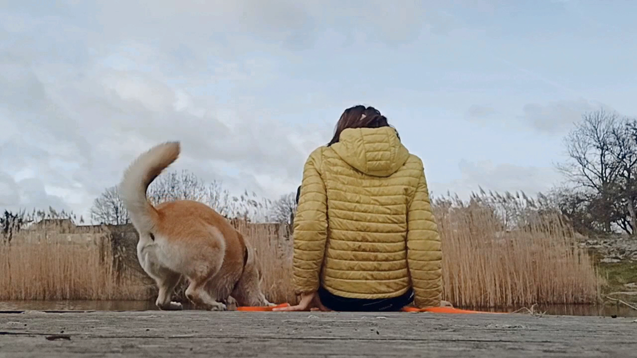 Mélie et compagnie — photo