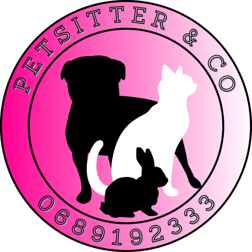 PET SITTER AND CO — photo