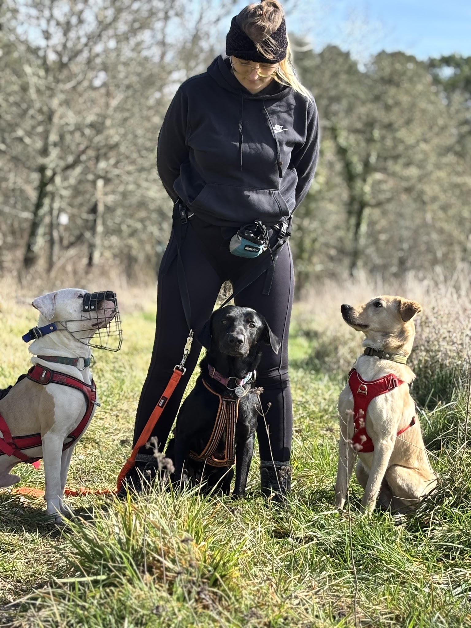 PET SITTER AND CO — photo