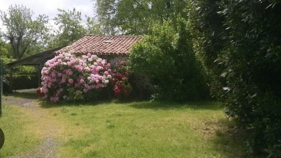 Pension Canine : La Cabane Des Loupiots