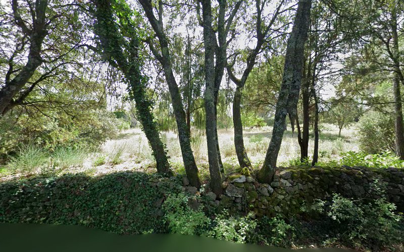 Bel'Pearl, Pet Sitting Hôtel