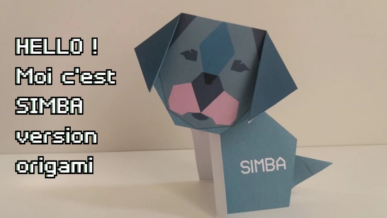 SIMBA - Education canine à domicile — photo