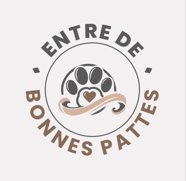 Entre de bonnes pattes — photo