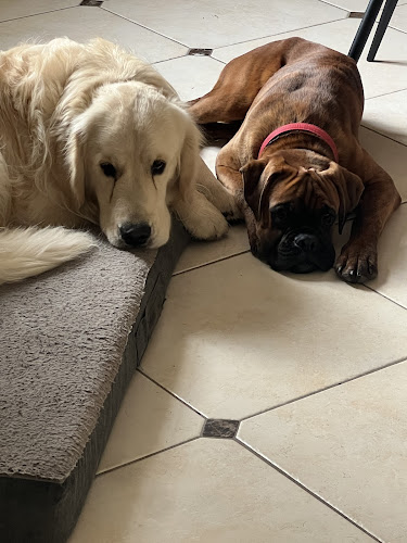 Elevage/Pension canine des Mille Fontaines