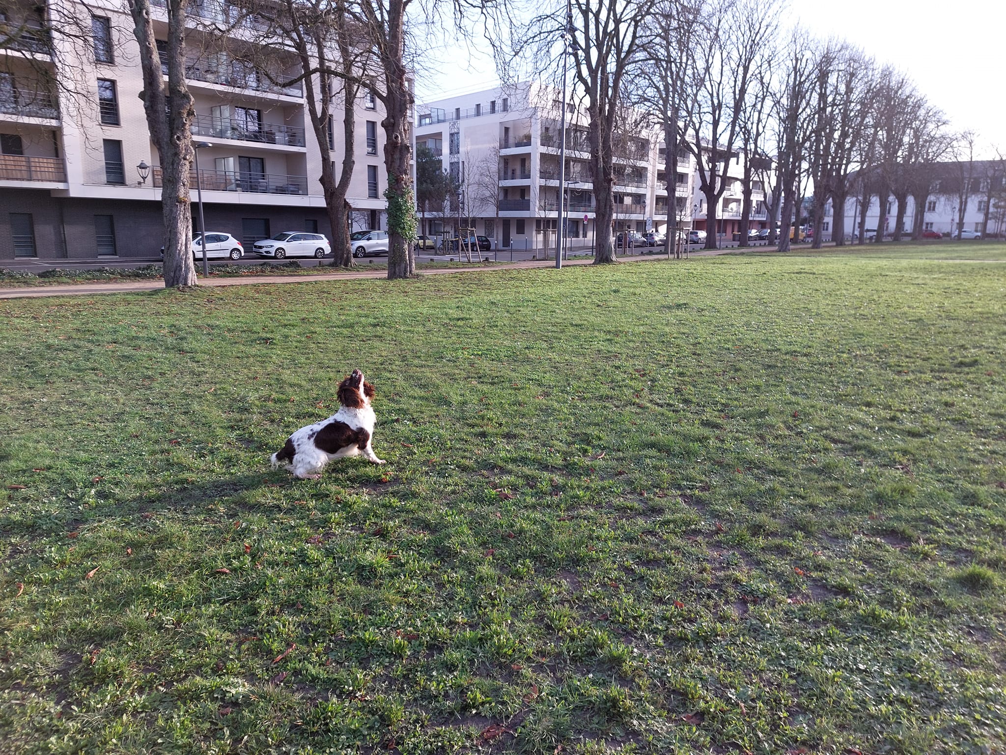 Sandra'Nimaux — photo