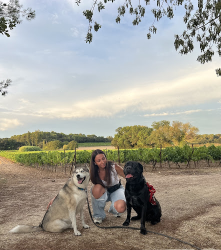 Mélissa Cô Pet sitter