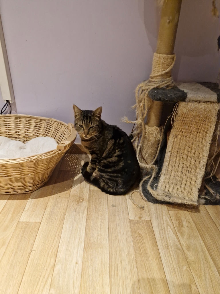 Pet Cycy – Garde & Naturopathie animalière à Fondettes — photo