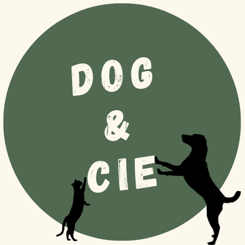 Dog & Cie - Educateur canin comportementaliste et Petsitter — photo