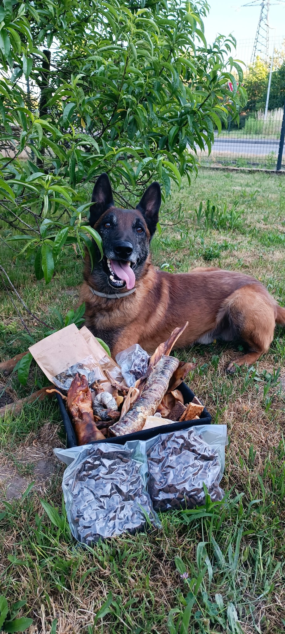 Croccro'Bon Éduc — photo