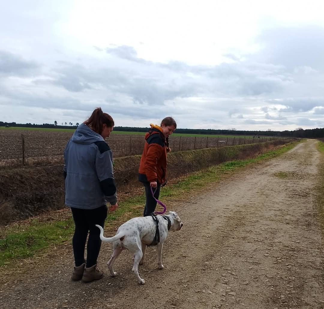 ECLPA - Education Canine Landes Pyrénées Atlantiques — photo