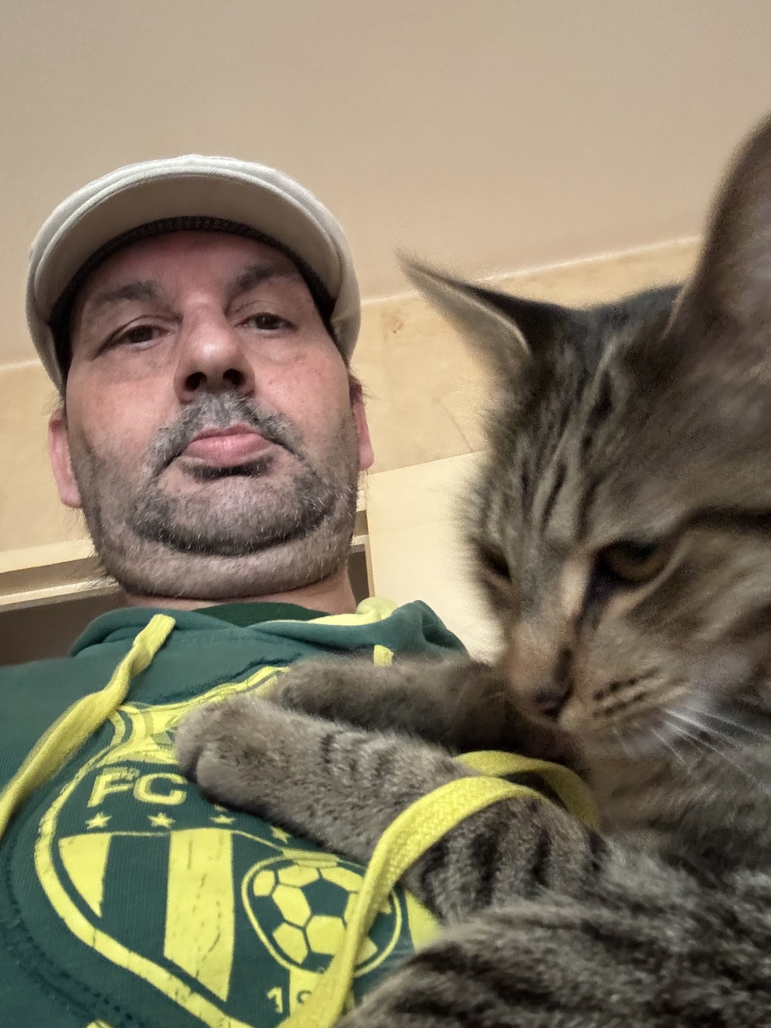 Nounou chiens et chats — photo