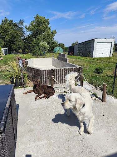 Pension Canine :🐾 La Maison Du Bonheur🐾