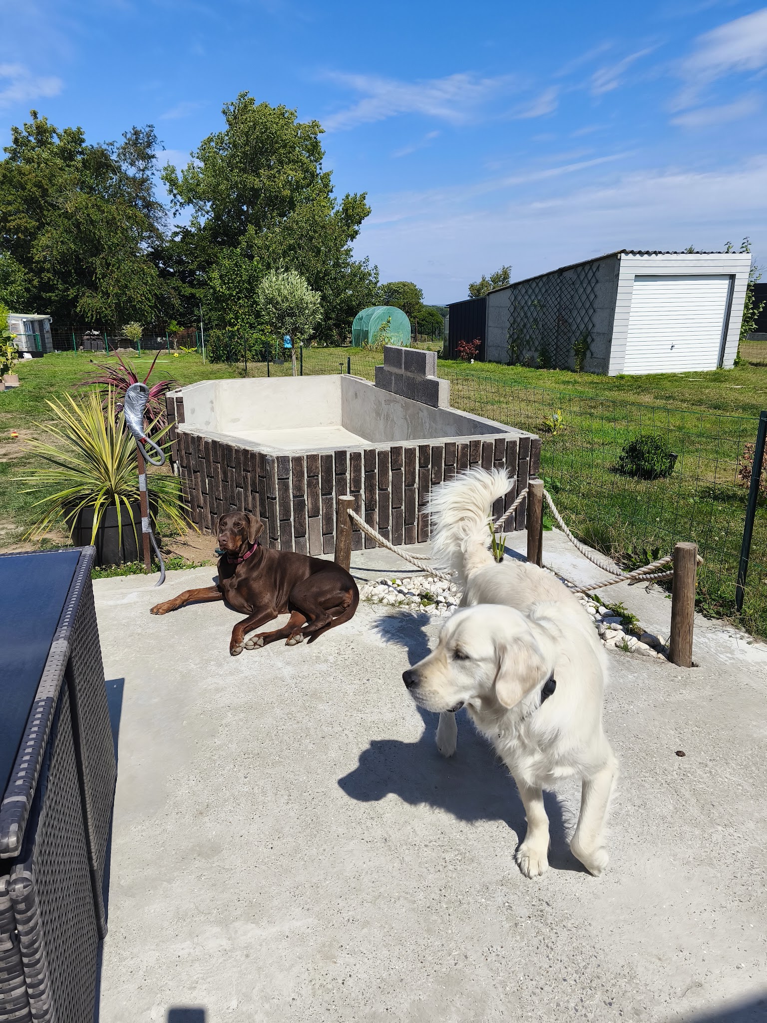 Pension Canine :🐾 La Maison Du Bonheur🐾 — photo