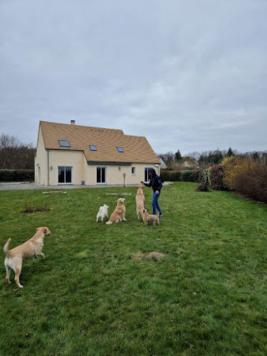 Loïc Dogsitter/Catsitter