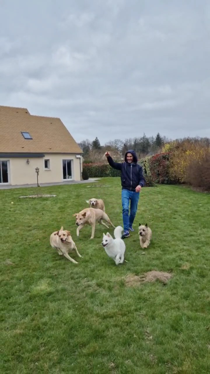 Loïc Dogsitter/Catsitter — photo