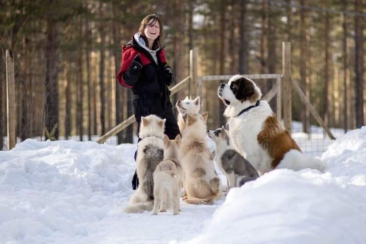 On va s'promener - Dog walker & pet-sitter, éducateur canin — photo