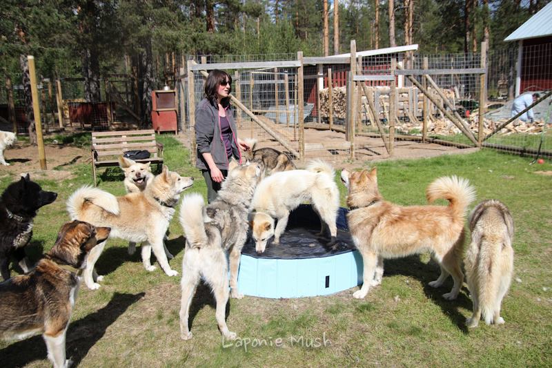 On va s'promener - Dog walker & pet-sitter, éducateur canin