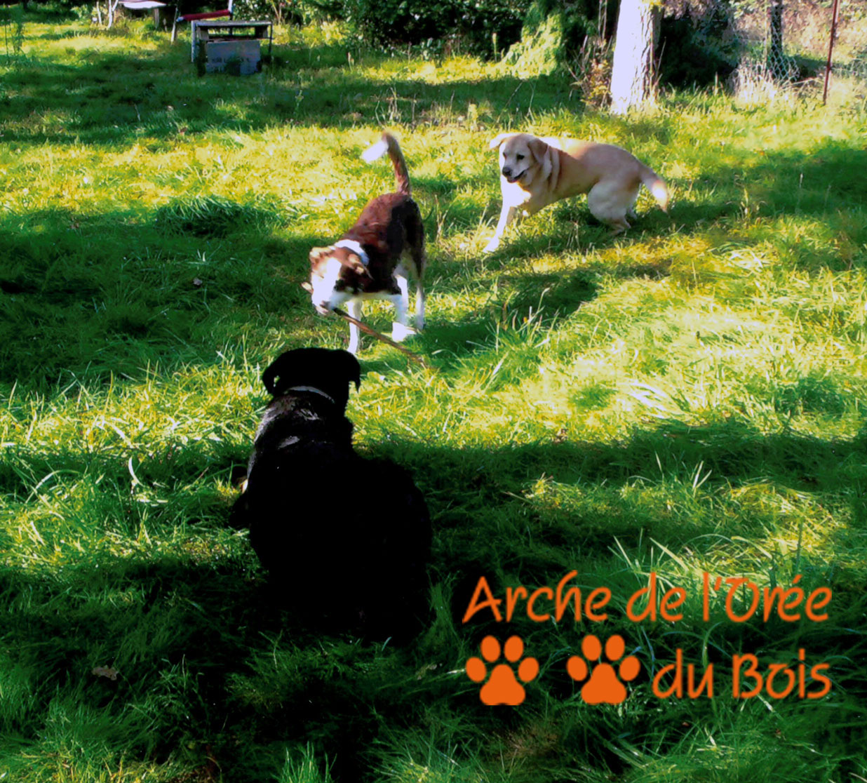 Arche de l'Orée du Bois