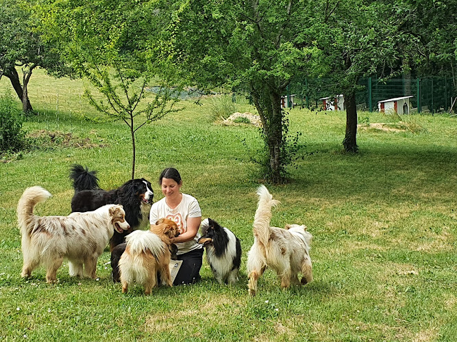 Le Chalet des 4 pattes du Lary